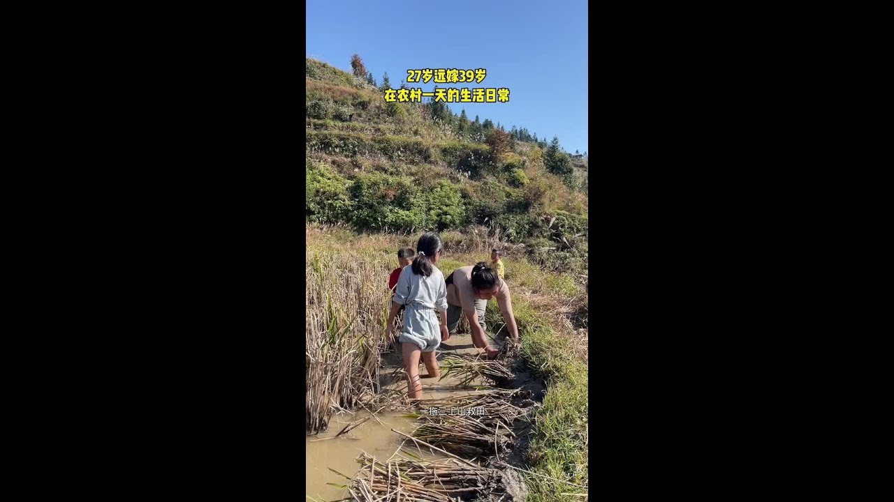 水田又干了，老鼠又在挖洞，真的是把我累趴了，第二天腰酸背痛#记录生活#记录真实生活#记录农村生活 @DOU+小助手