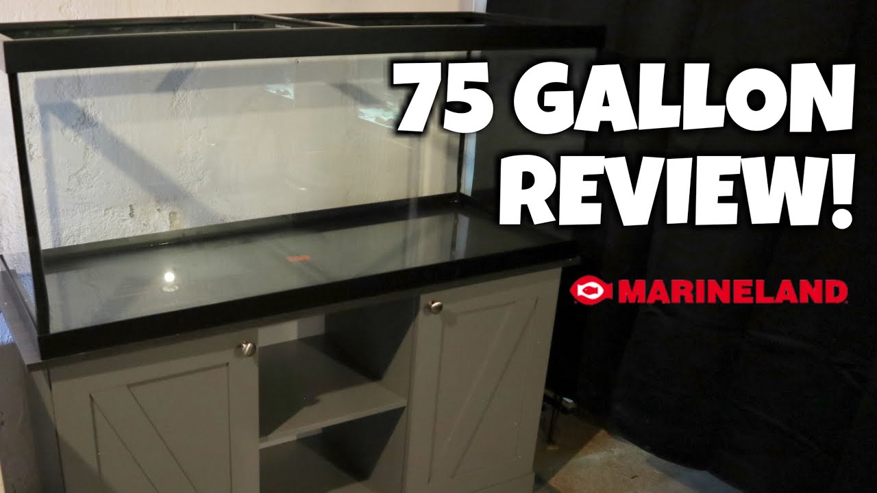 Marineland 75 Gallon Aquarium Review!