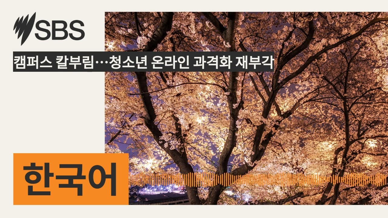 캠퍼스 칼부림&hellip;청소년 온라인 과격화 재부각 | SBS Korean - SBS 한국어 프로그램
