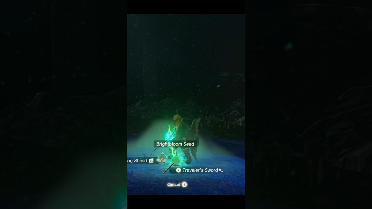 Brightbloom seeds with NO arrows! #zelda #tearsofthekingdom #gaming #gamingtips #nintendo #fyp