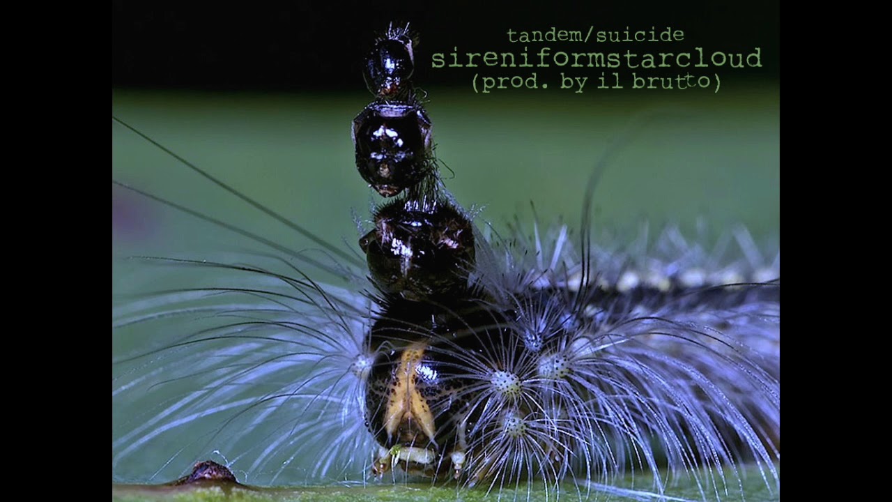 zodd the immortal - sireniformstarcloud[feat. stranded](prod. by il brutto)