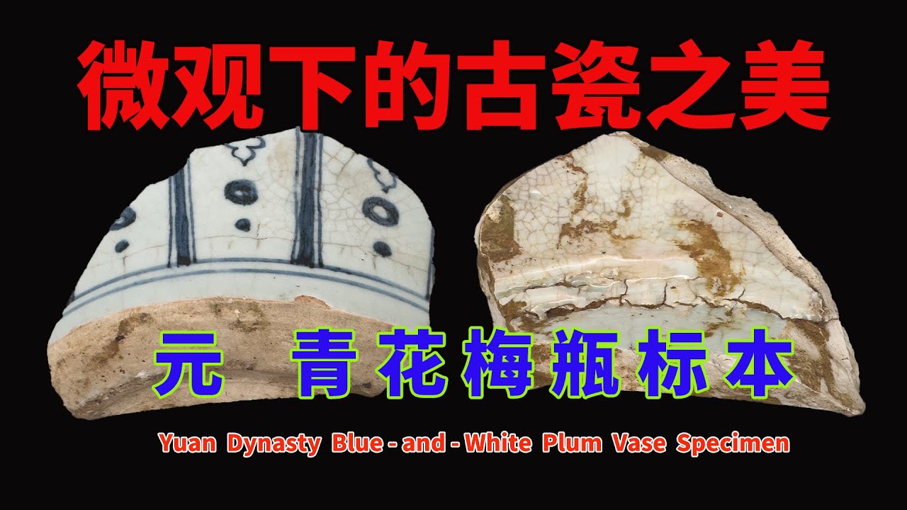 元    青 花 梅 瓶 标 本 - Yuan Dynasty Blue - and - White Plum Vase Specimen