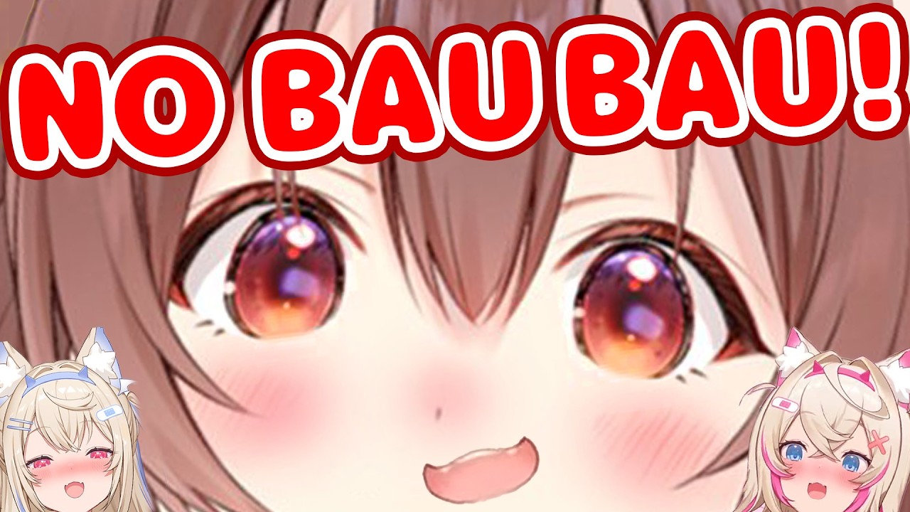 NO BAUBAU!