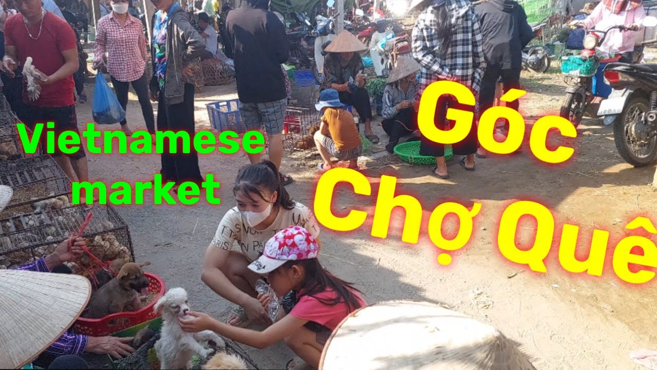 G&oacute;c chợ Qu&ecirc;| Vietnamese Market