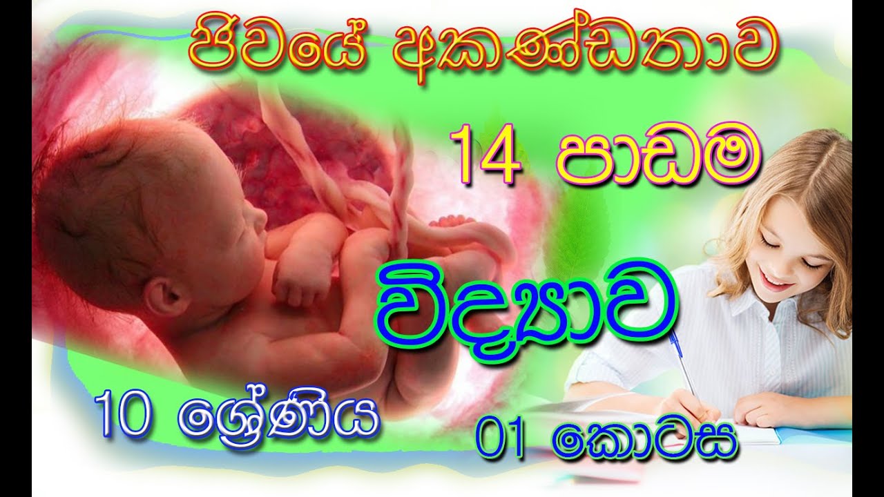 ජිවයේ අකණ්ඩතාව | ප්‍රජනනය | Part 01 | Grade 10 Science