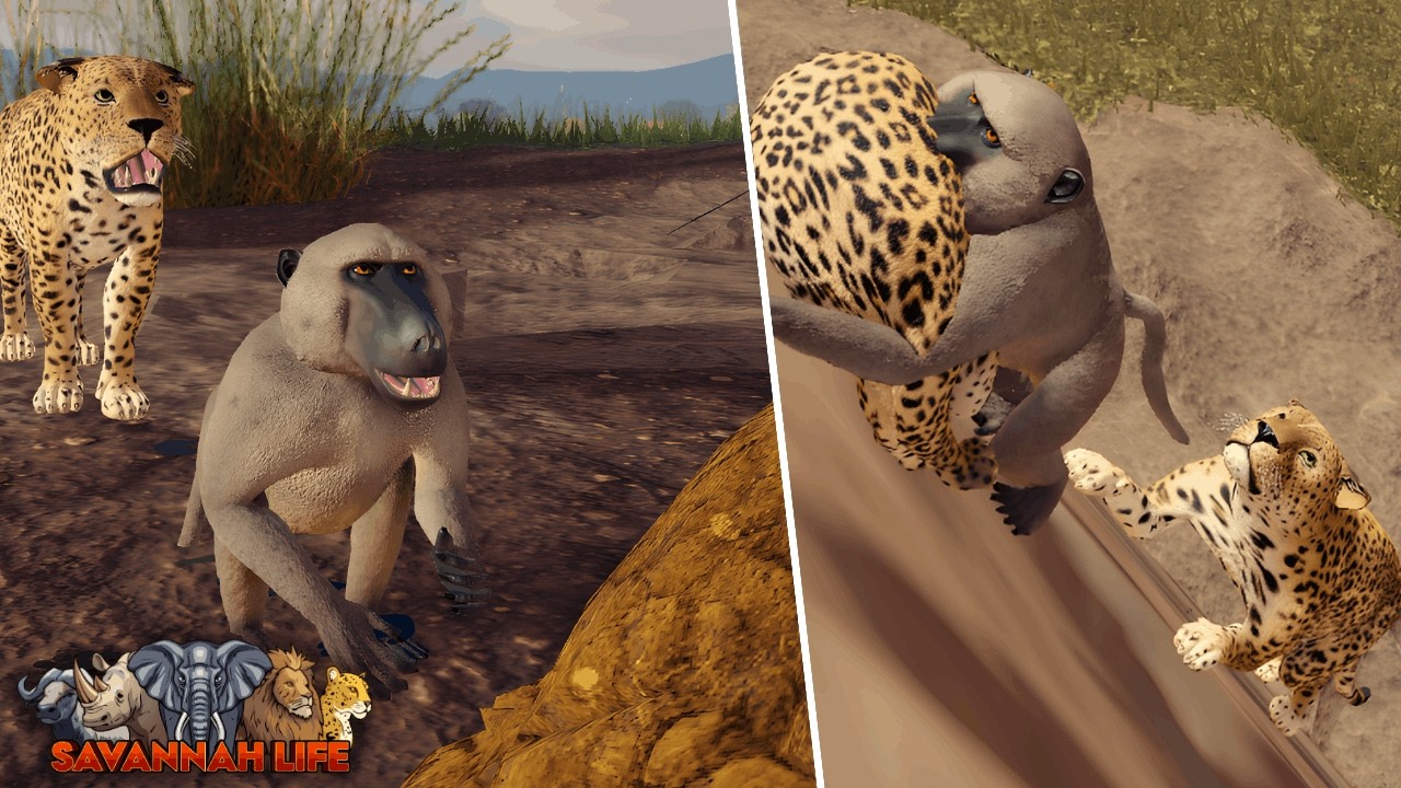 Baboon Hunting Everyone in Savannah Life ⏐ ROBLOX 🐒🌿
