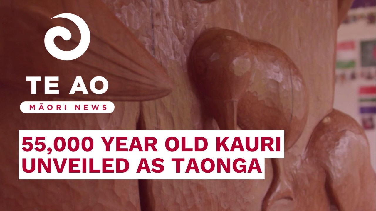 Ancient kauri carving unveiled as living taonga for tamariki | Te Ao Māori News