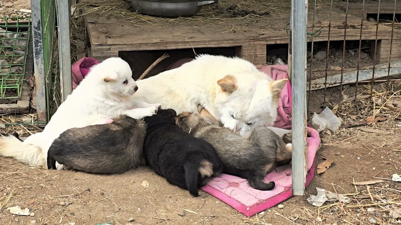 엄마의 행복///엄마는 좋아