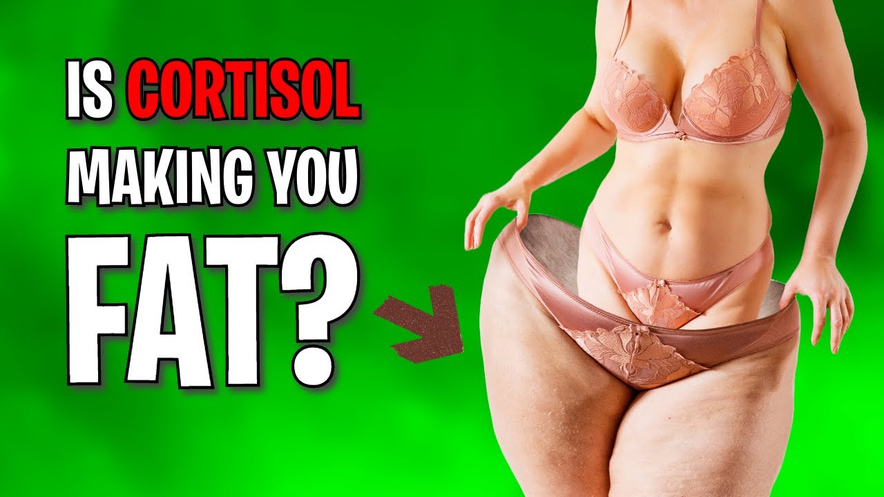 Could HIGH CORTISOL Be The Cause of Stubborn Belly Fat?