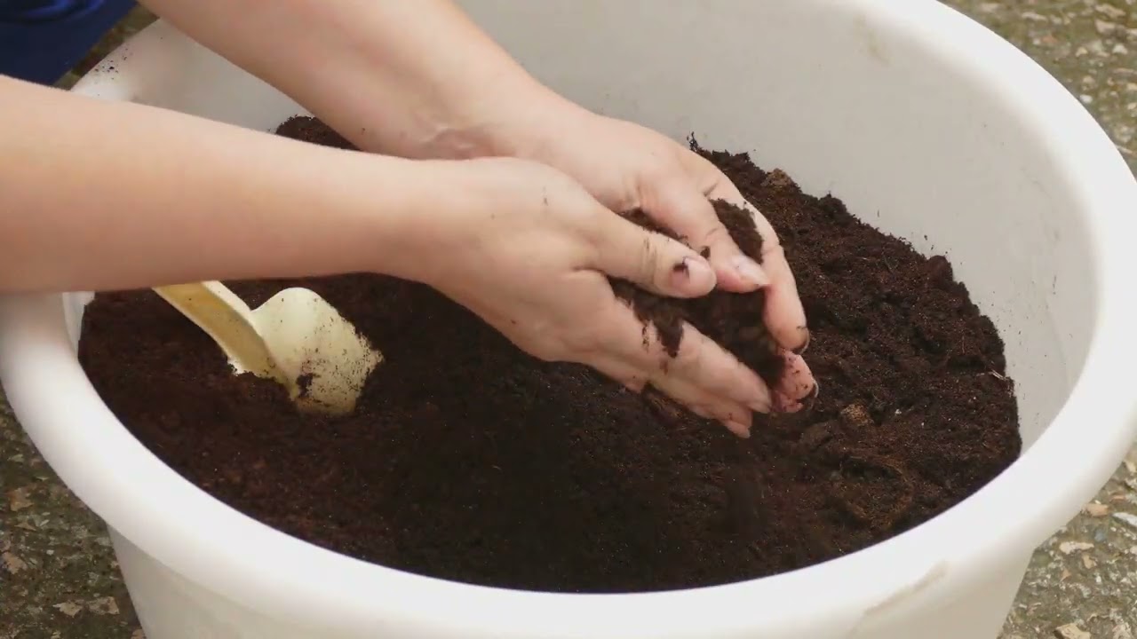 Soil Prep for Pepper Plants: In-Ground & Container Tips