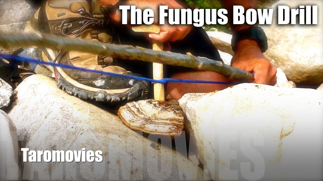 The Fungus Bow Drill/HD Bushcraft Survival Video