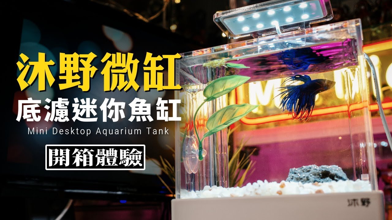 幫鬥魚的搬新家｜沐野微缸｜Mini Desktop Aquarium Fish & Shrimp Tank｜魚缸開箱分享｜Nick老師