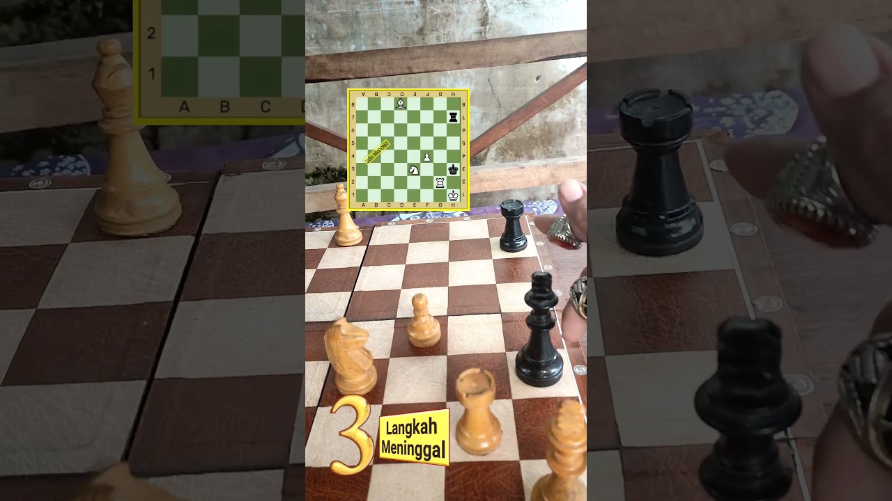 Problem catur 3 langkah mati level master #problemcatur