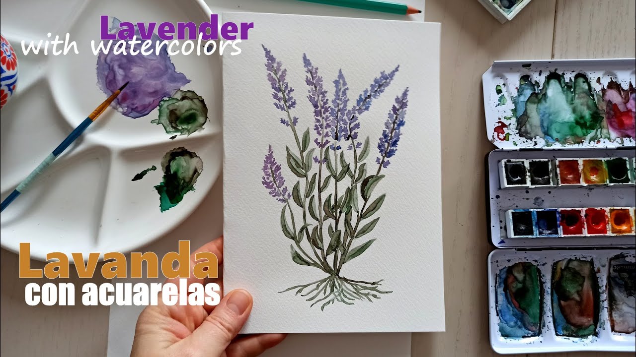 paint a lavender with watercolors / como pintar una lavanda con acuarelas
