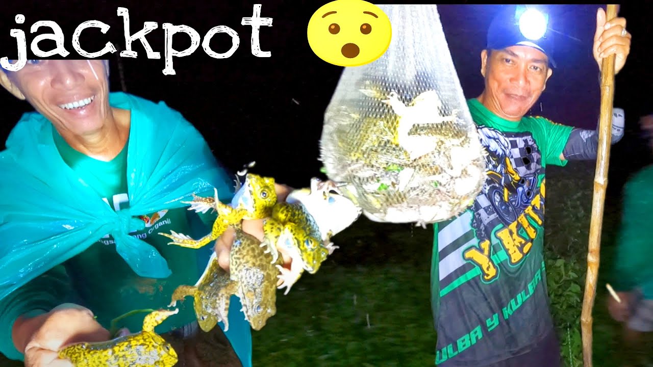 Jackpot sa Dami | Night FROG Hunting and Cook Part 1