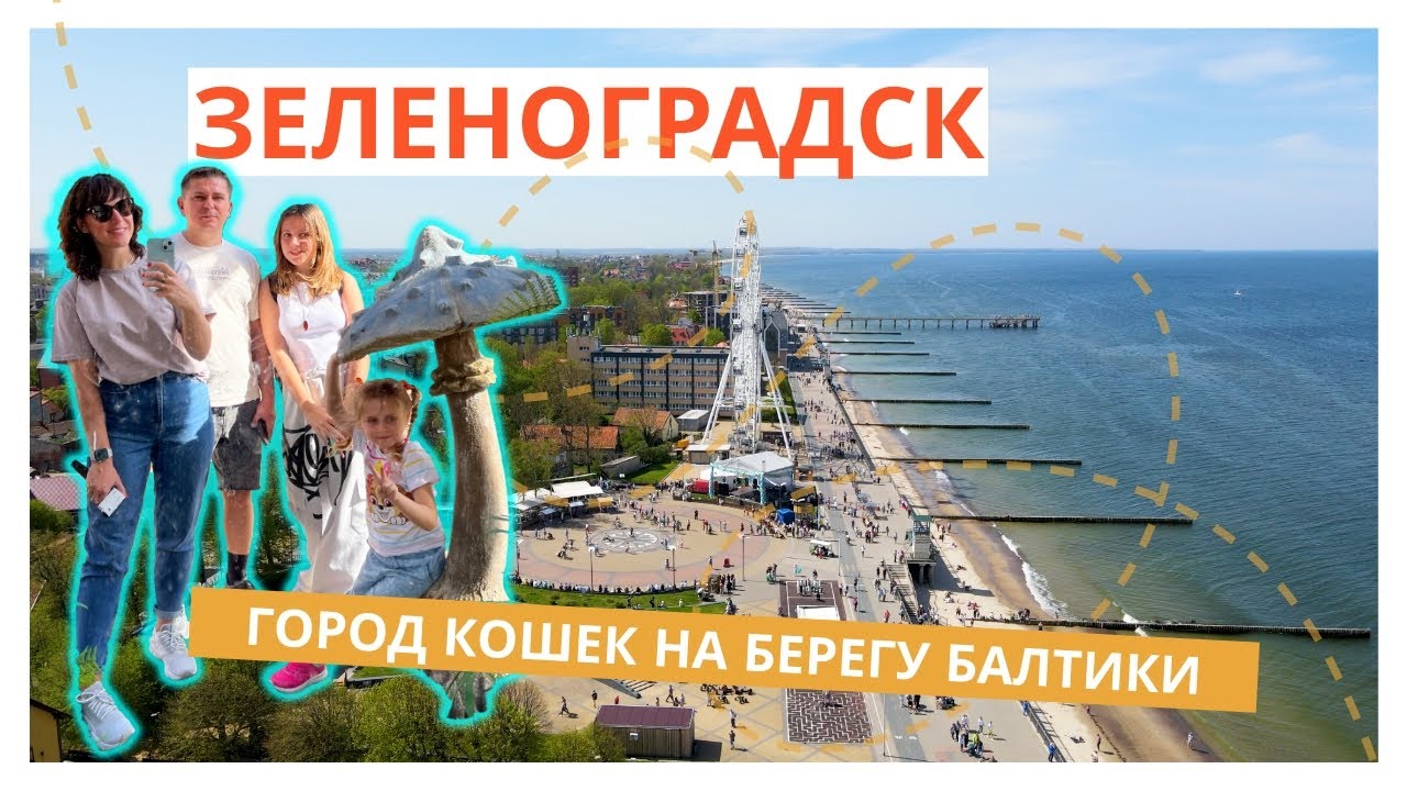Зеленоградск - город кошек на берегу Балтийского моря 🐈 Куршская коса / Танцующий лес💚