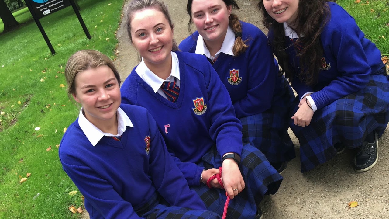 Finn wishing his 6th year friends a happy graduation 🐶