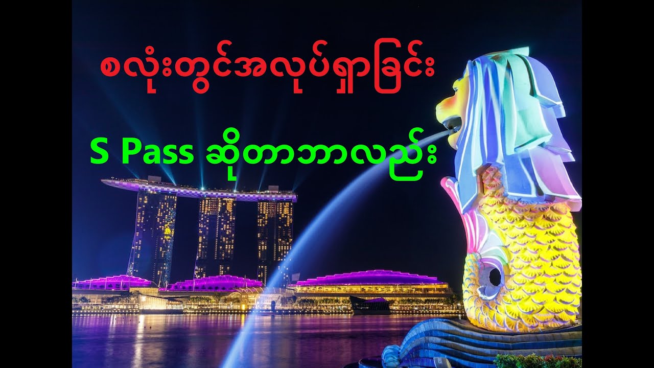 01.What is the S pass?