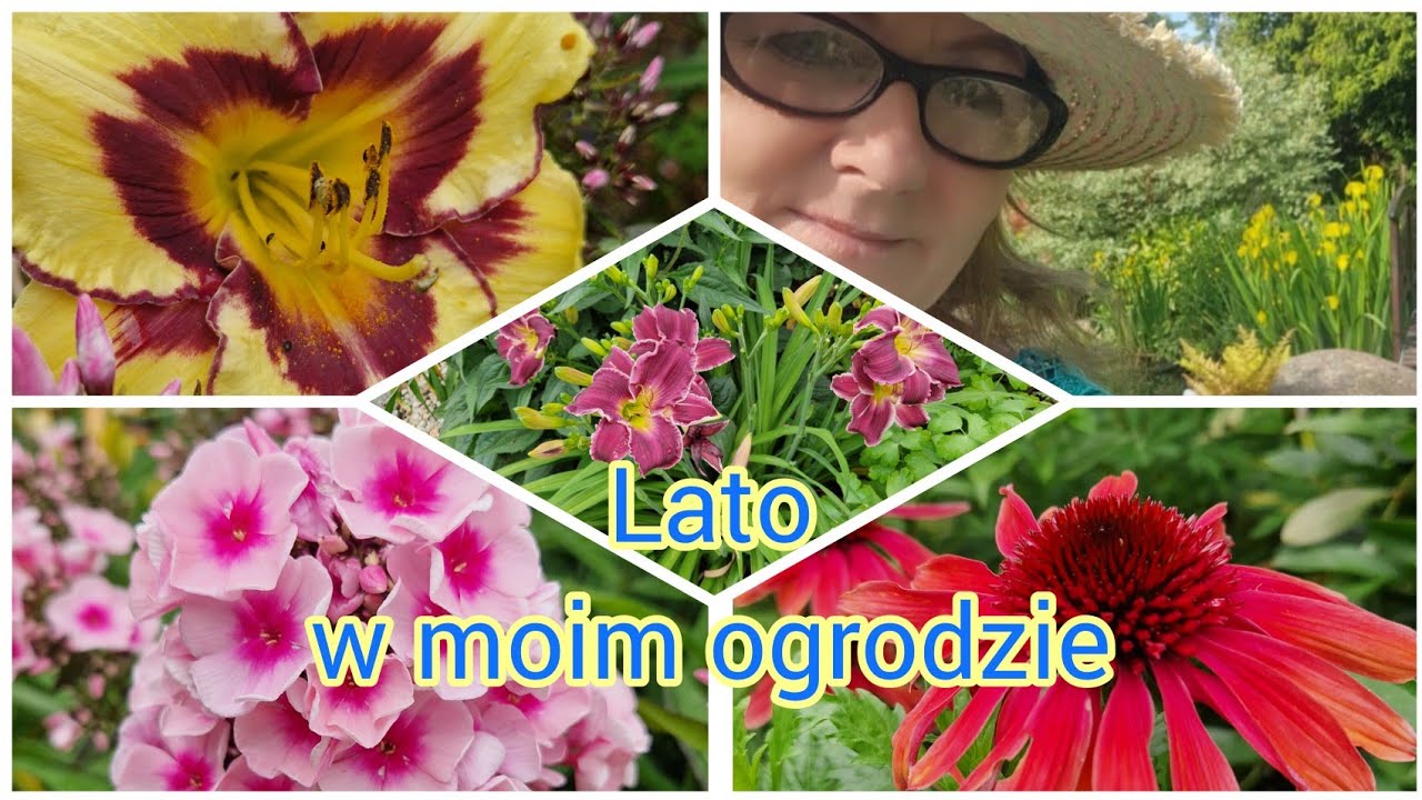 Lato w moim ogrodzie - lipcowy spacer 🌸 10 lipiec 2025.