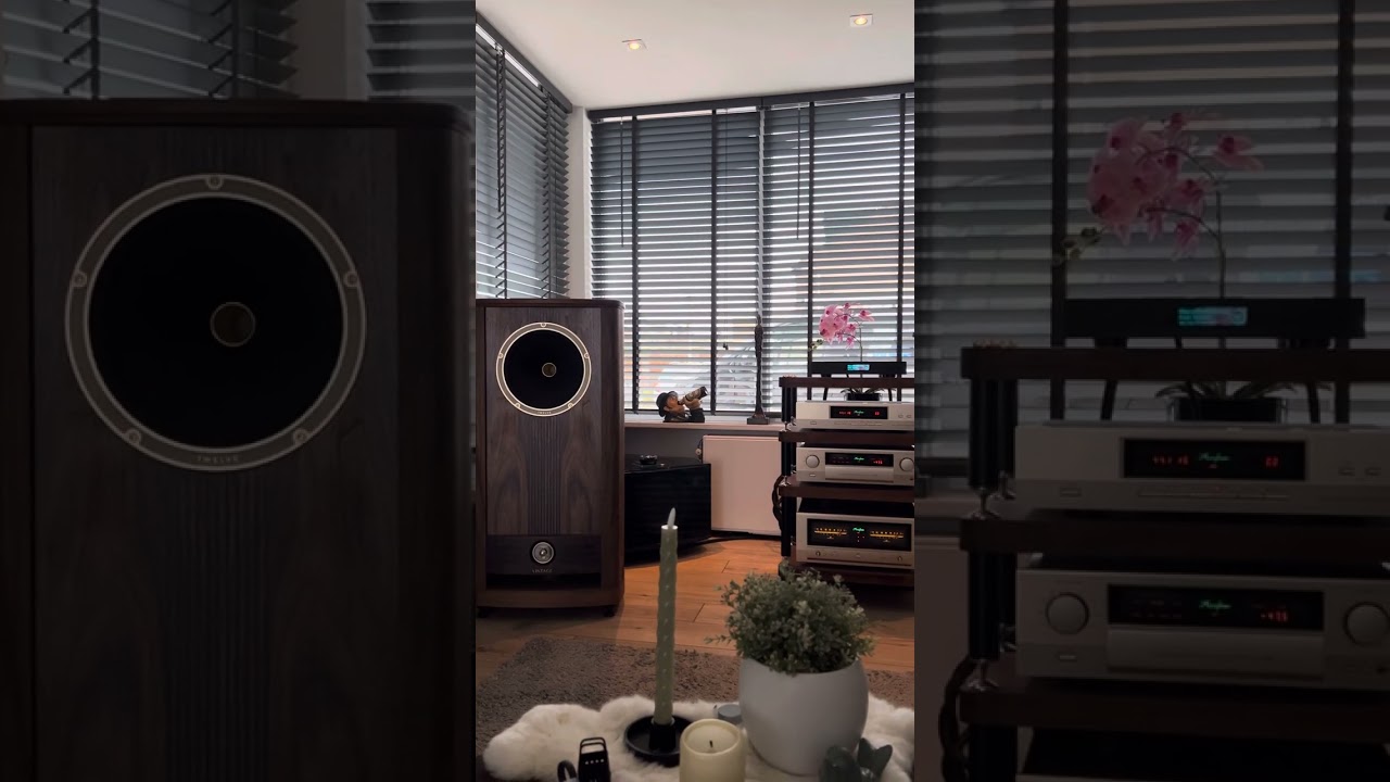 Accuphase & fyne audio vintage 12 & rel no 31