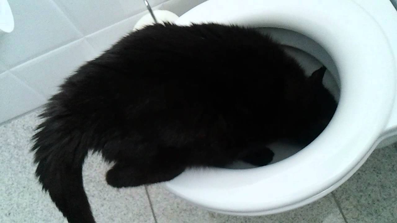Blacky hat durst!