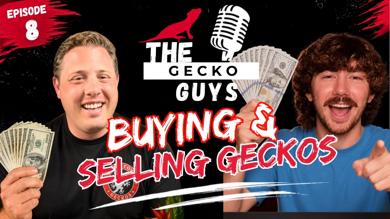 Buying & Selling Geckos -TheGeckoGuys- Episode 8
