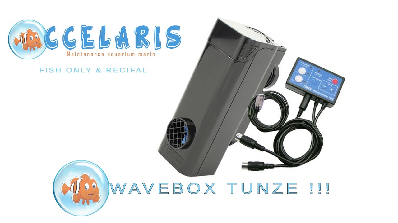 WAVEBOX TUNZE OCCELARIS !!!