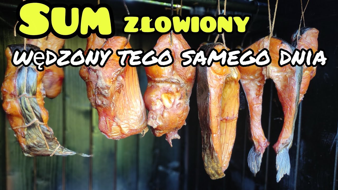 Sum wędzony rano jeszcze pływał dymiony tego samego dnia 
