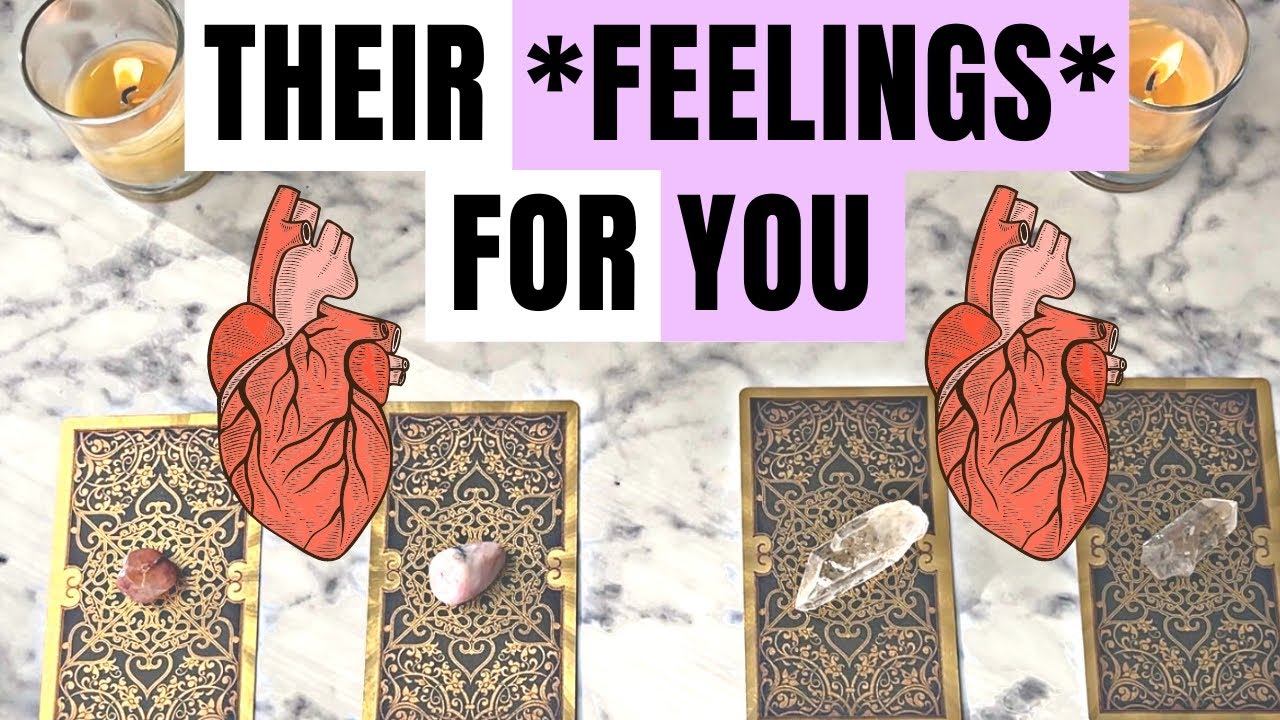 How They’re Currently Feeling About You🥹💗 Pick a Card🔮 Timeless In-Depth Tarot Reading