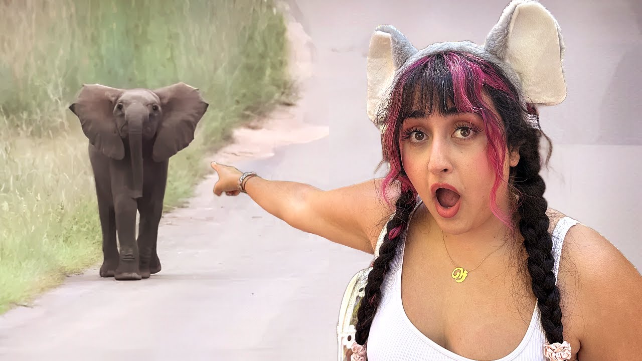 COME WITH ME TO THE ZOO
