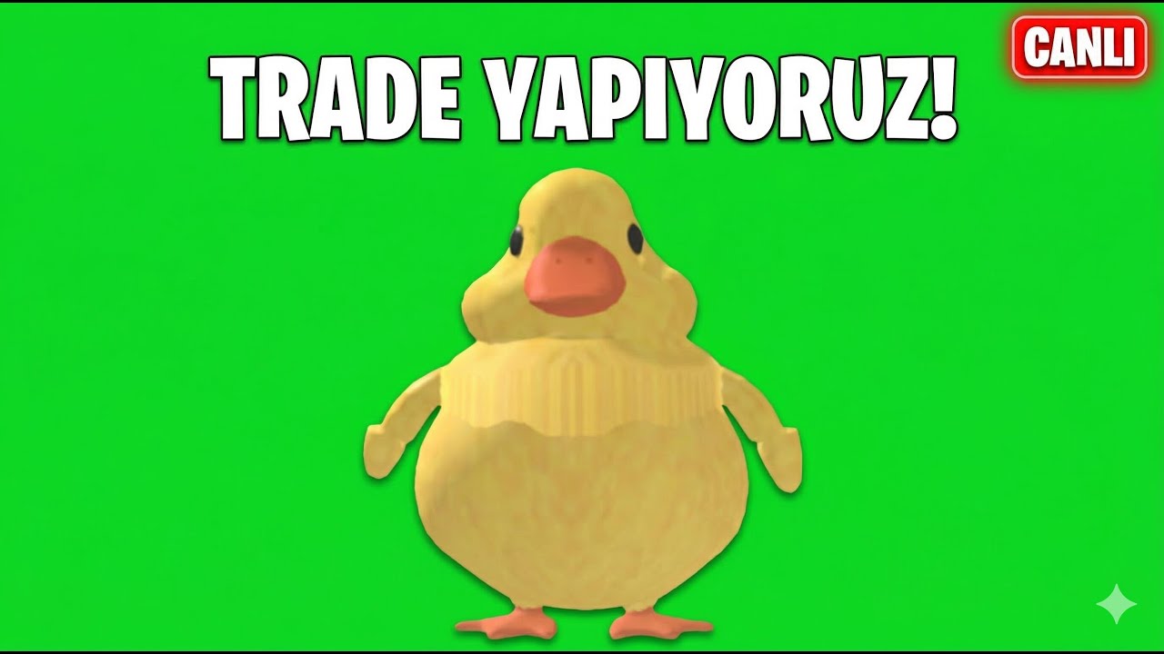 birsürü fuse yapıyorum