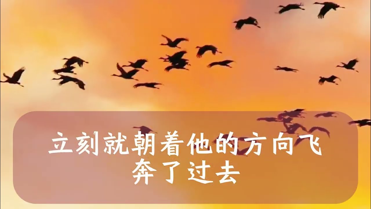 #出軌 #出轨 #情感 #情感故事 #情感秘密 #故事分享 #故事頻道 #感情 #分享 #愛情紀錄 #愛情 #正能量 #外遇 #婚外情 #兩性 #倫理 #家庭倫理