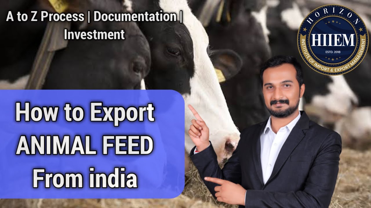 How to Export Cattle feed,Animal Feed from india | A to Z Process, Documentation, By Sagar Agravat