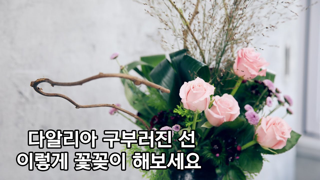 다알리아 구부러진 선 이렇게 꽃꽂이 해보세요