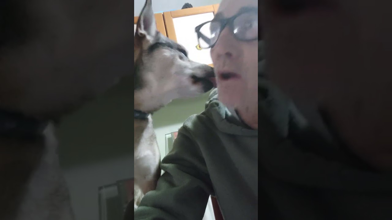 Dio@Creo' il cane per donare un amico all'uomo.👏🐶