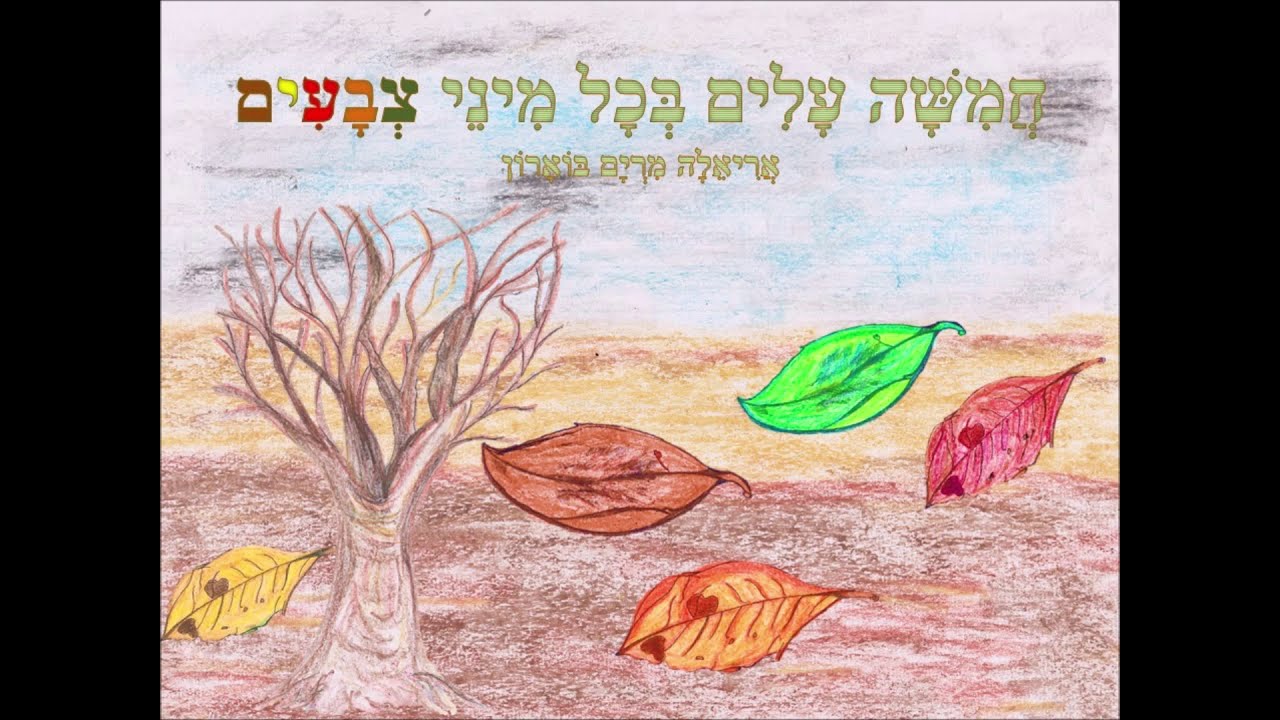 סתיו חמישה עלים בכל מיני צבעים - סתיו