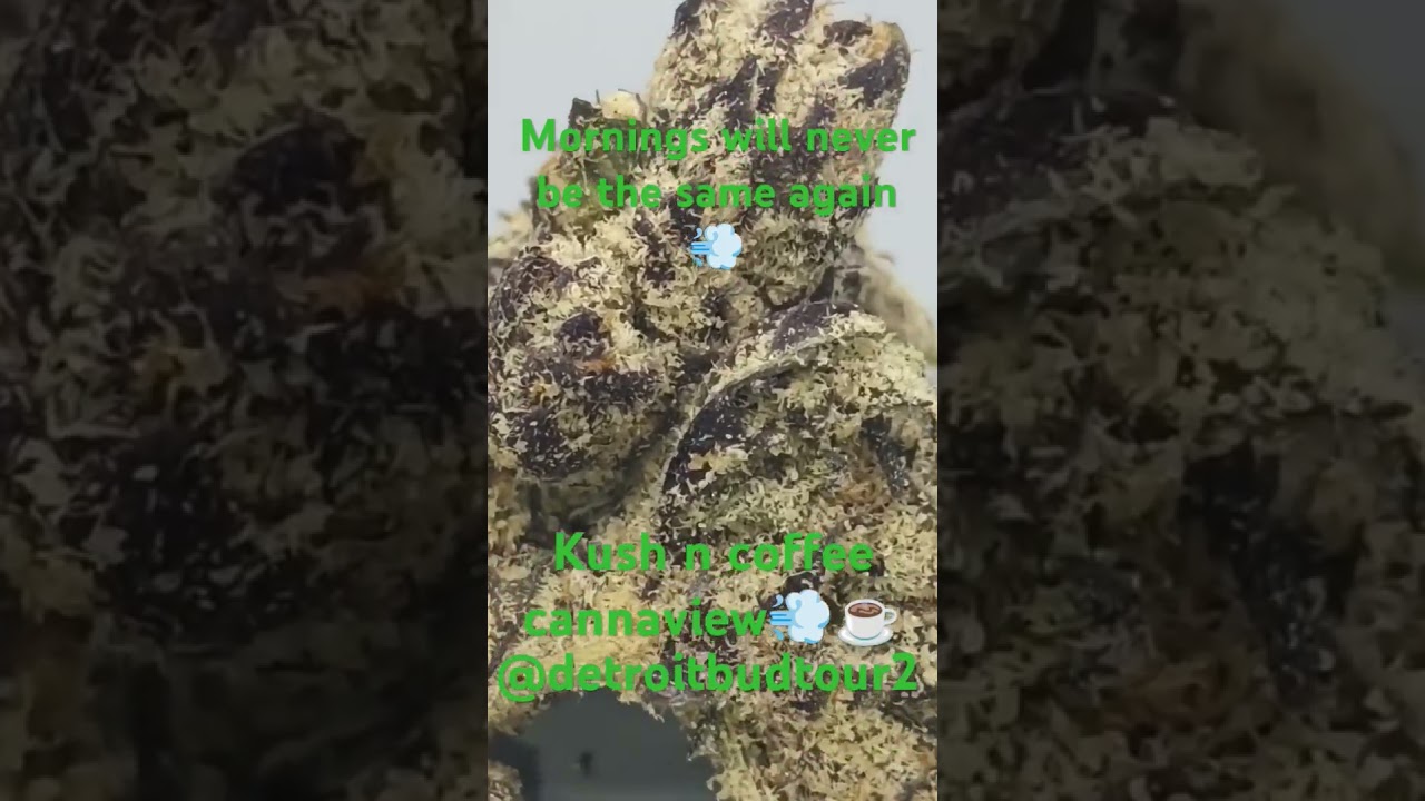 @KushmanCal #kushncoffee #cannaview @detroitbudtour2