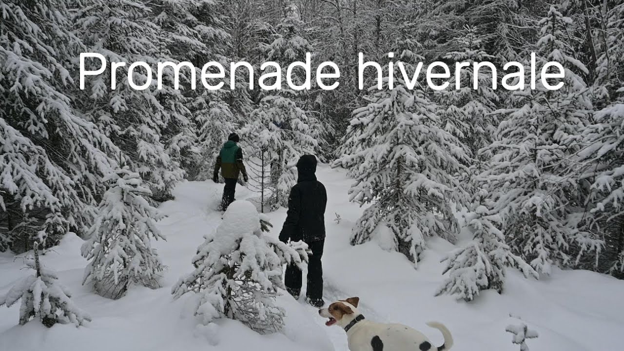 Un dimanche tout en douceur sous la neige