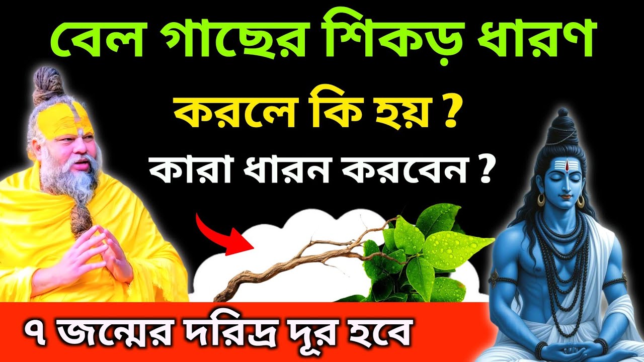 বেল শিকড় ধারণ করলে কি হয়? কেন এই শিকড় এত শক্তিশালী-জানেন কি?