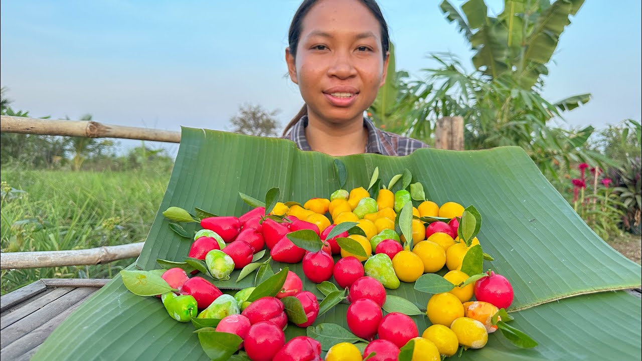នំផ្លែឈើ