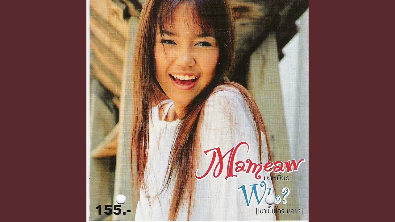สาวเชียงใหม่_DJ Tee Red Beat Mix