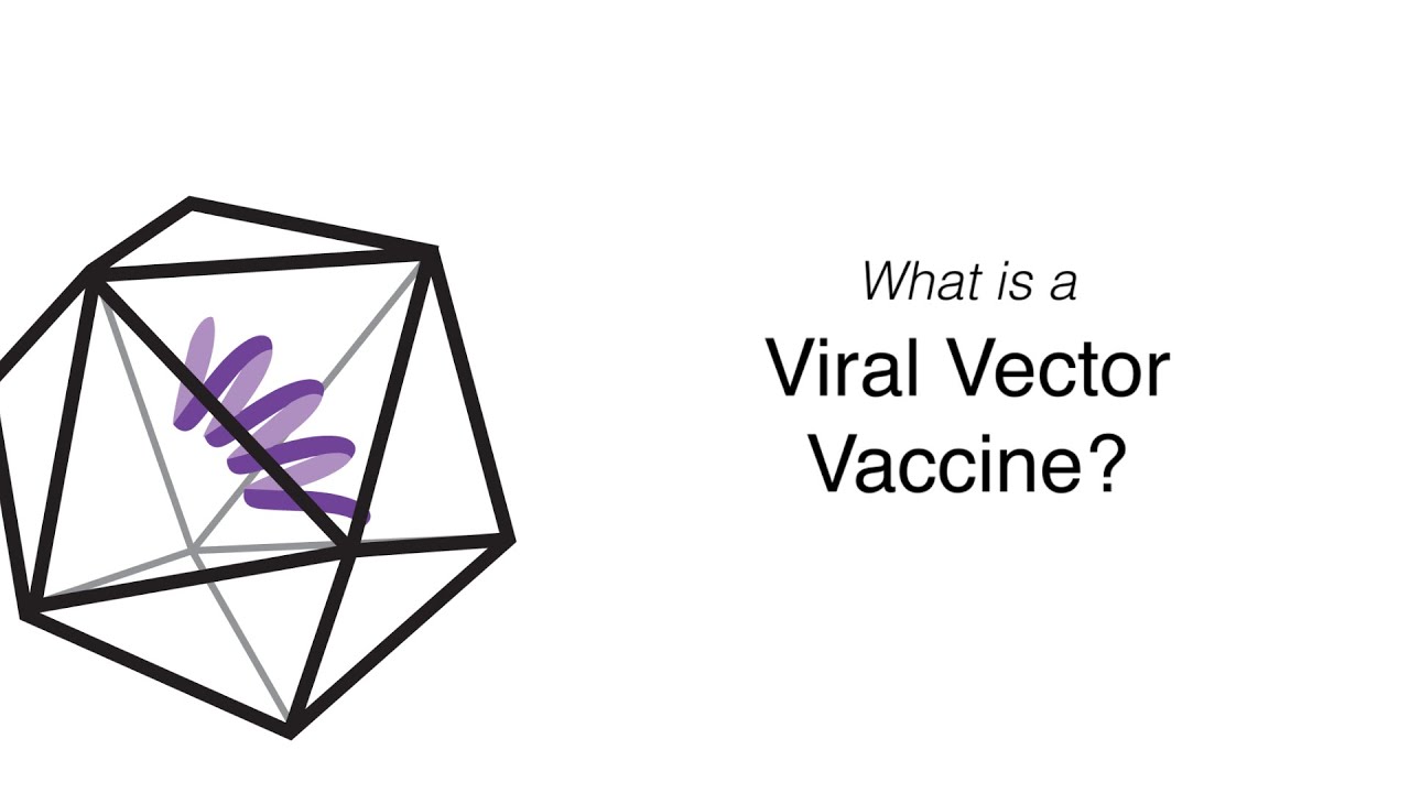 What is a Viral Vector Vaccine?