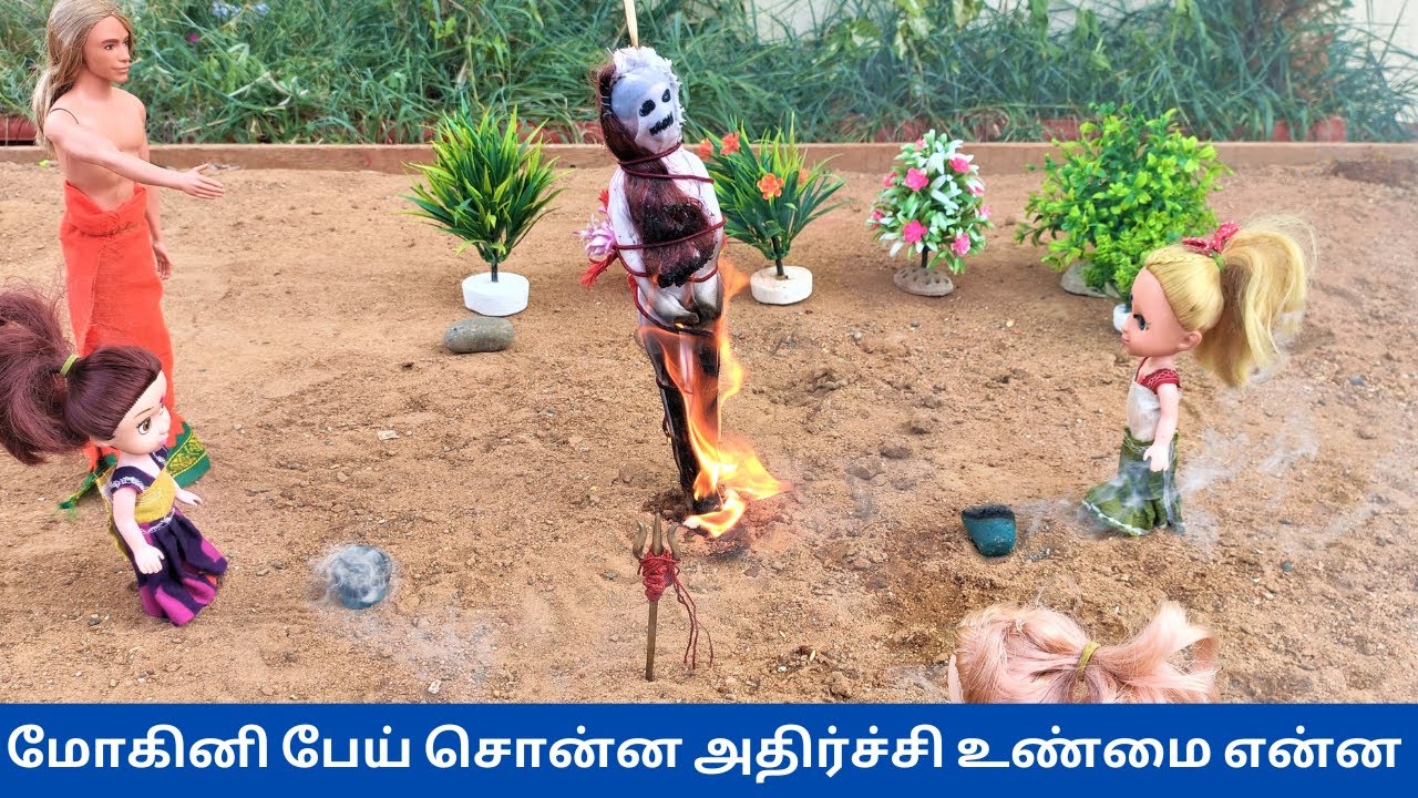 மோகினி பேய் சொன்ன அதிர்ச்சி உண்மை என்ன ?| #thelittlecookdorabora
