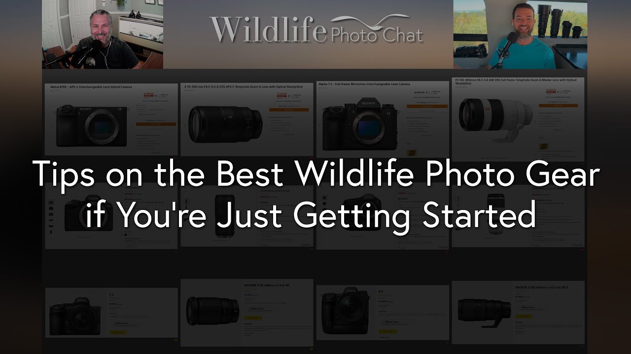 Tips on the Best Wildlife Photo Gear if you are Just Getting Started - Wildlife Photo Chat Video