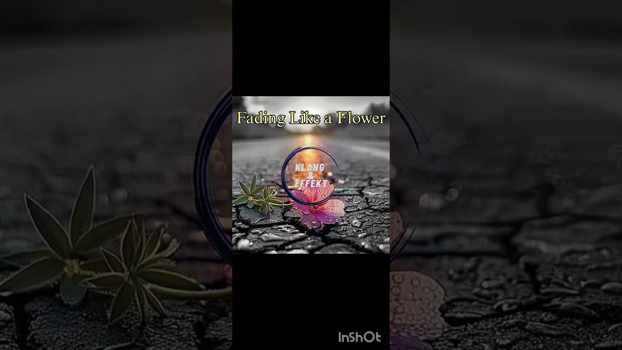 Fading Like a flower - Klang&Effekt Mix