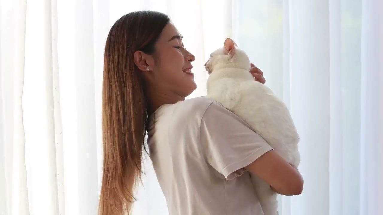 Purr-fecting Feline Wellness: The Definitive Manual for Cat Care