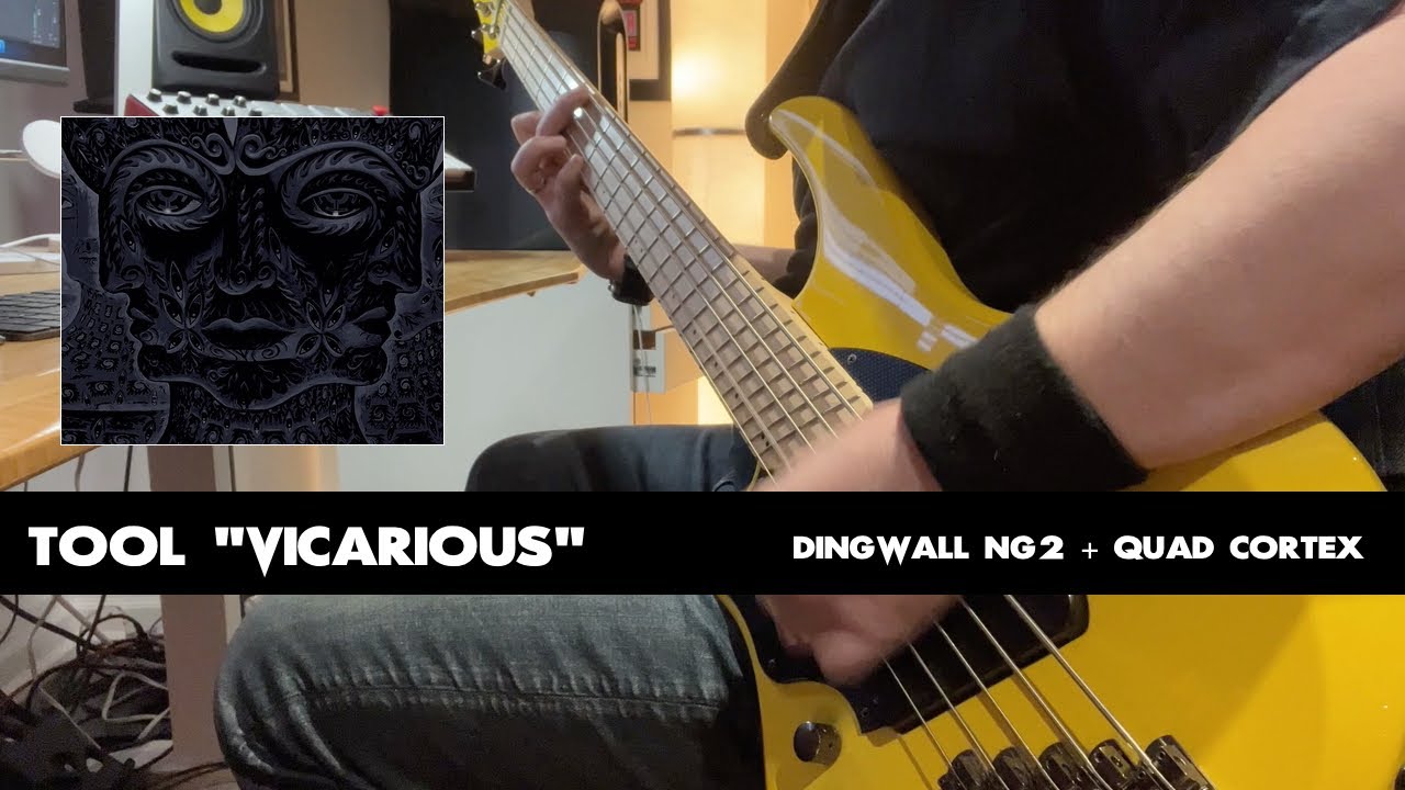 Tool - Vicarious - Bass Cover (dingwall NG2 + quad cortex)