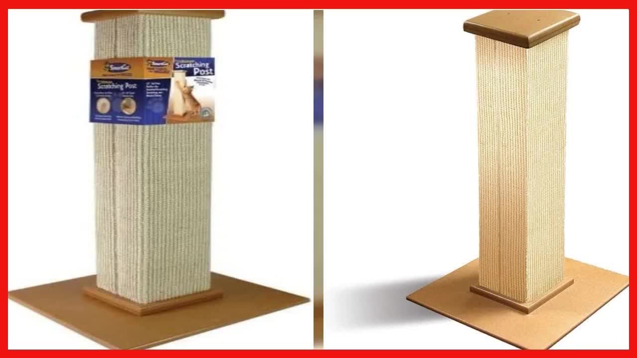 Bon produit -  Arbre &agrave; chat SmartCat Pioneer Pet Ultimate