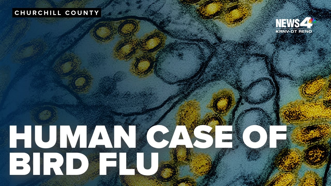 Nevada confirms first human case of H5N1 avian flu in Churchill County