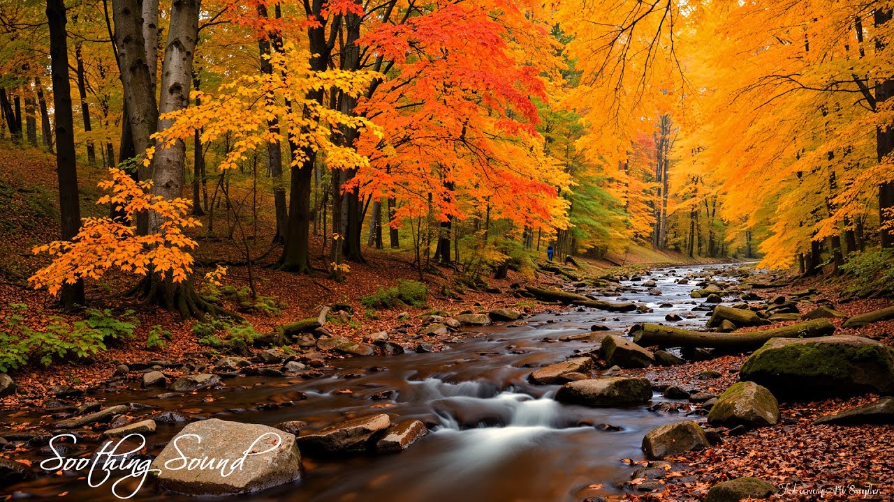 Soothing Autumn Melodies 🍁 Stress Relief and Emotional Healing